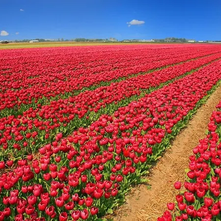 Duinrust Egmond aan Zee