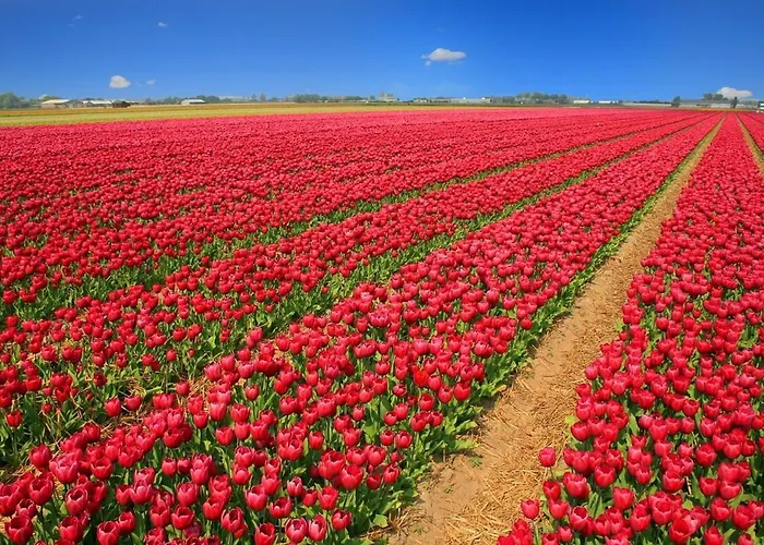 Duinrust Egmond aan Zee
